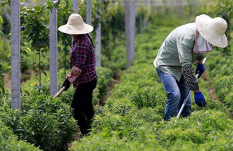 7月30日，河南省中藥材生產(chǎn)工作暨產(chǎn)業(yè)扶貧現(xiàn)場會在南陽市南召縣成功召開